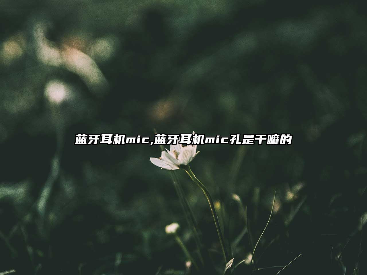 藍(lán)牙耳機mic,藍(lán)牙耳機mic孔是干嘛的