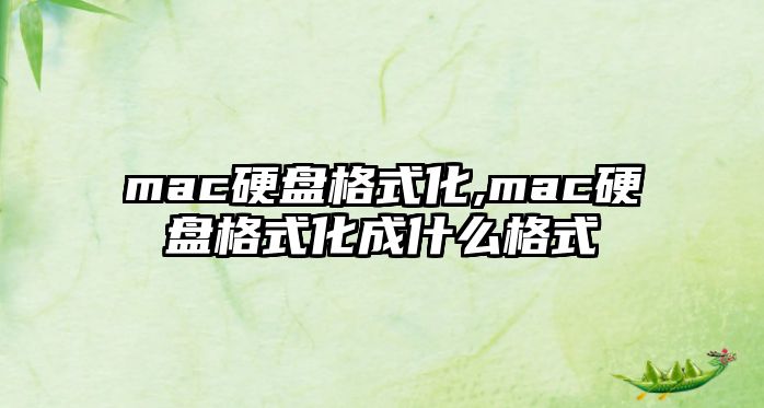 mac硬盤格式化,mac硬盤格式化成什么格式