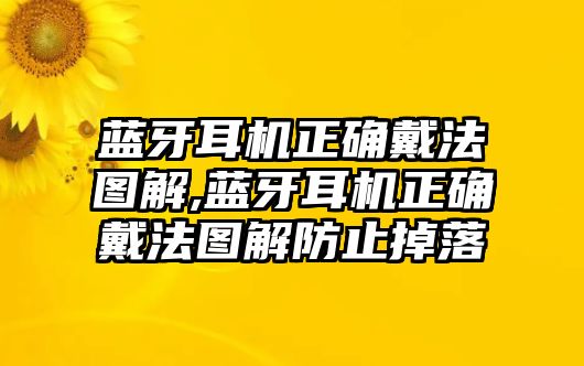 藍(lán)牙耳機(jī)正確戴法圖解,藍(lán)牙耳機(jī)正確戴法圖解防止掉落