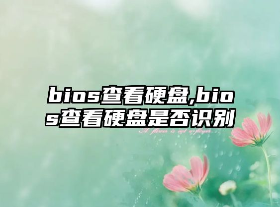 bios查看硬盤,bios查看硬盤是否識(shí)別