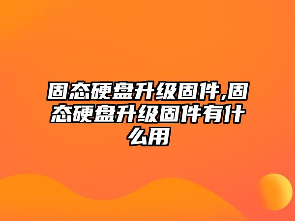 固態(tài)硬盤(pán)升級(jí)固件,固態(tài)硬盤(pán)升級(jí)固件有什么用